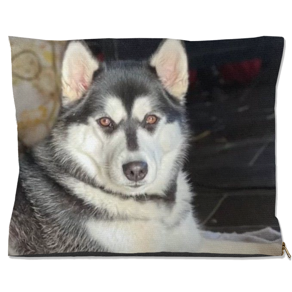DogBed-Outdoor-40x50-20250513175224577